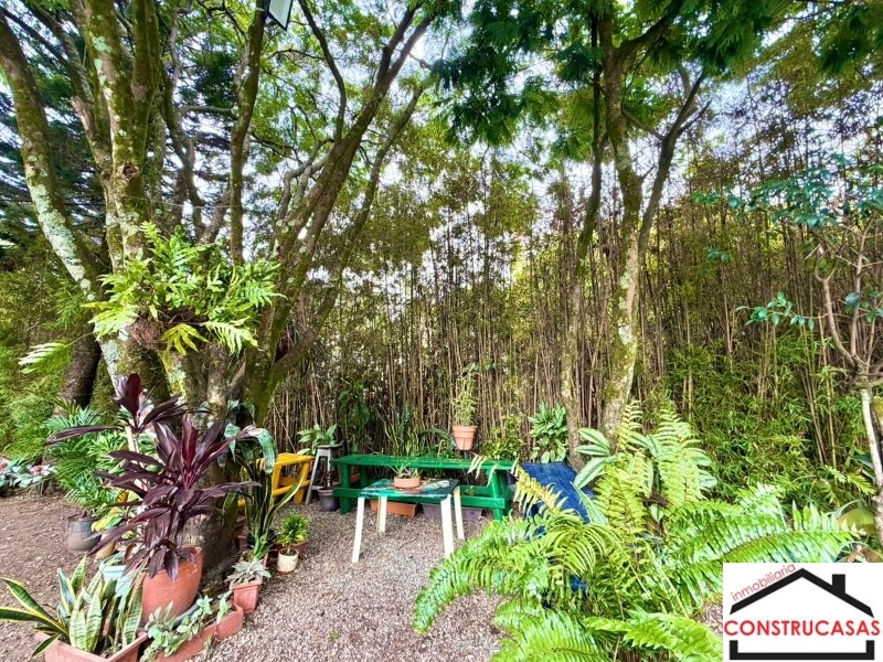 Apartamento en arriendo en Las Palmas, Medellín · foto 16 de 17