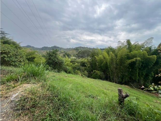 Lote en venta en Las Pavas, Manizales, 2393 m² · foto 2 de 20
