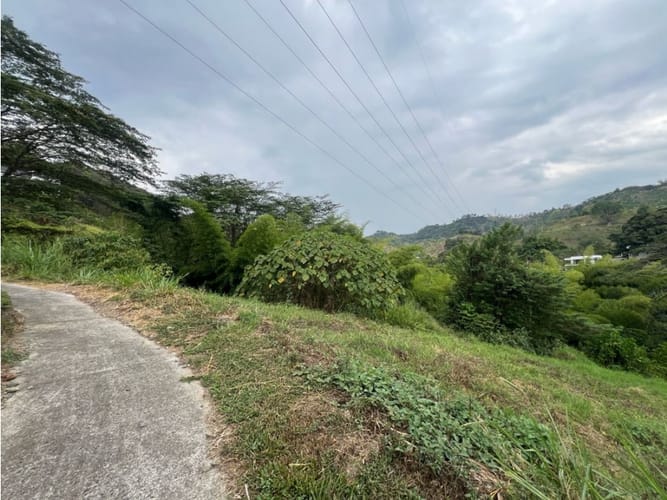 Lote en venta en Las Pavas, Manizales, 2393 m² · foto 3 de 20