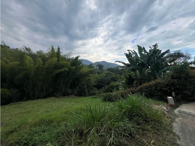 Lote en venta en Las Pavas, Manizales, 2393 m² · foto 4 de 20