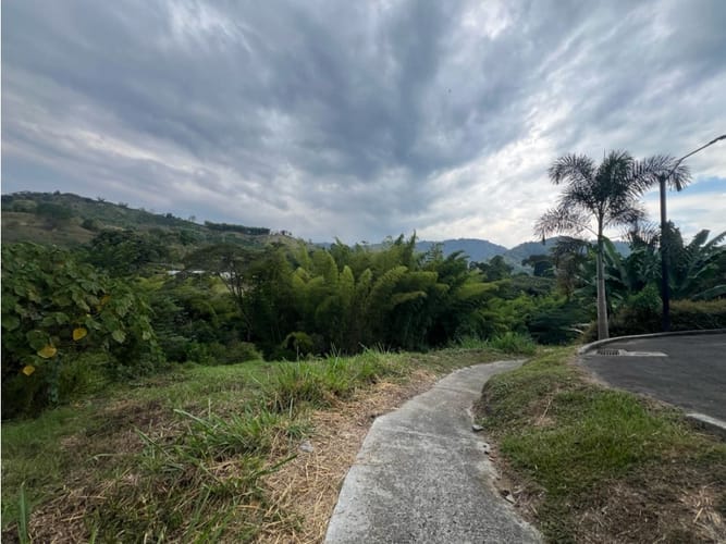 Lote en venta en Las Pavas, Manizales, 2393 m² · foto 5 de 20