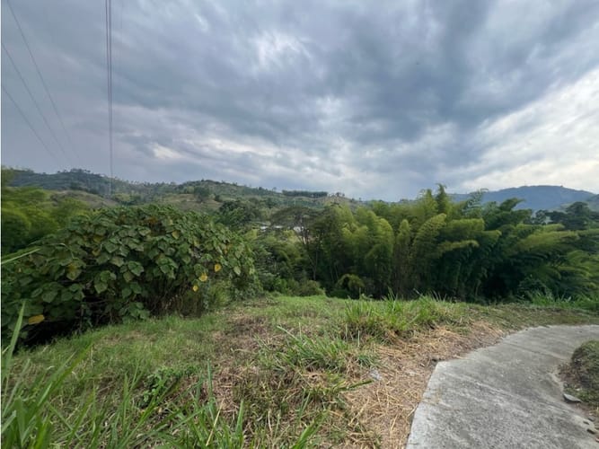 Lote en venta en Las Pavas, Manizales, 2393 m² · foto 7 de 20