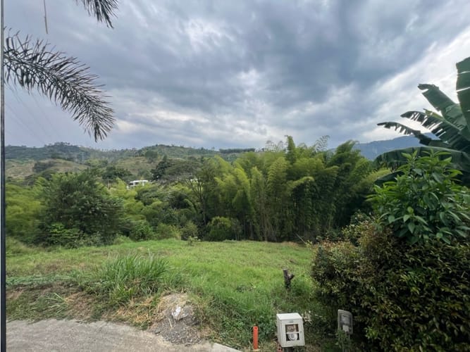 Lote en venta en Las Pavas, Manizales, 2393 m² · foto 11 de 20