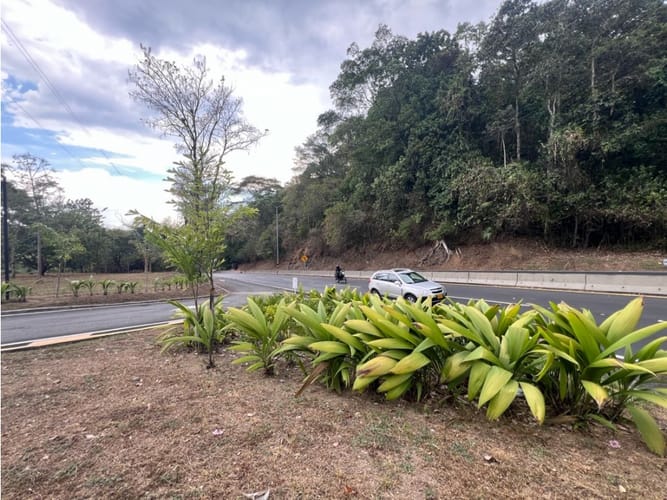 Lote en venta en Las Pavas, Manizales, 2393 m² · foto 20 de 20