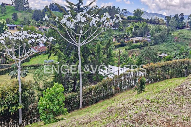 Lote en venta en El Carmen De Viboral, Rionegro · foto 6 de 7