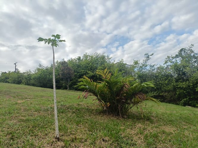 Lote en venta en Verde Horizonte, Jamundí, 1336 m² · foto 8 de 24