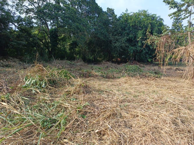 Lote en venta en Pance Alto, Cali, 3685 m² · foto 12 de 23