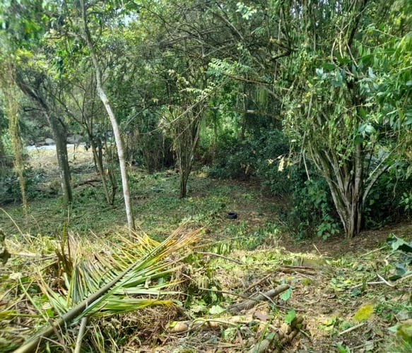 Lote en venta en Pance Alto, Cali, 3685 m² · foto 13 de 23