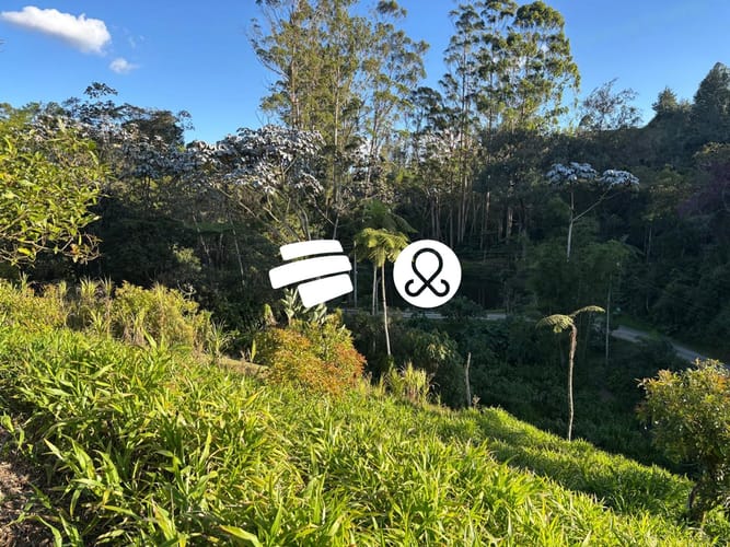 Lote en venta en El Higueron, Rionegro, 5873 m² · foto 4 de 7