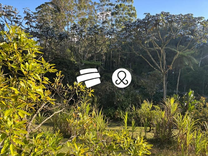 Lote en venta en El Higueron, Rionegro, 5873 m² · foto 5 de 7
