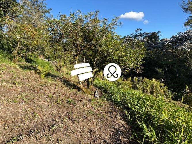 Lote en venta en El Higueron, Rionegro, 5873 m² · foto 6 de 7