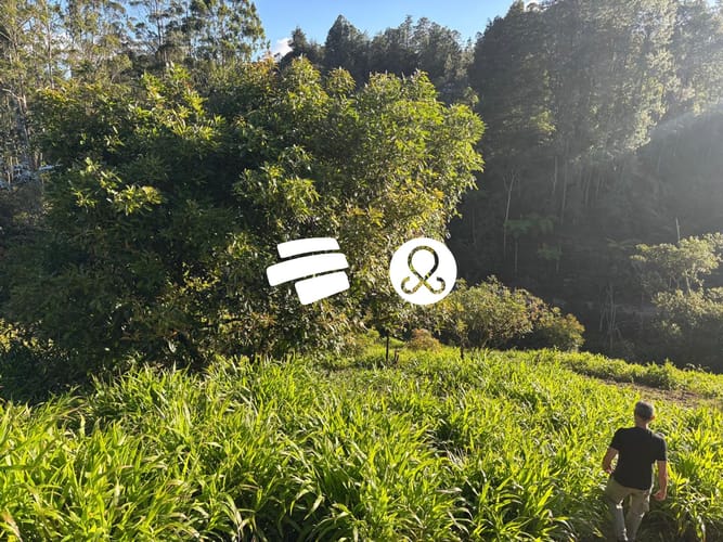 Lote en venta en El Higueron, Rionegro, 5873 m² · foto 7 de 7