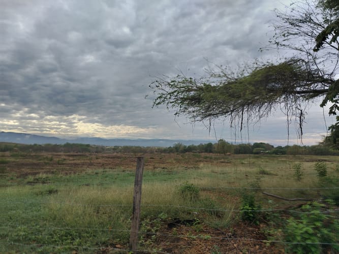 Lote en venta en Ricaurte, 1000 m² · foto 4 de 6