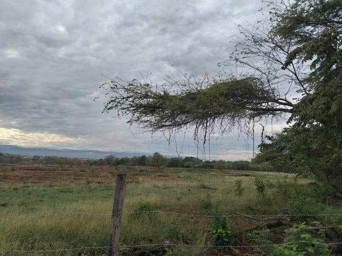 Lote en venta en Ricaurte, 1000 m² · foto 5 de 6