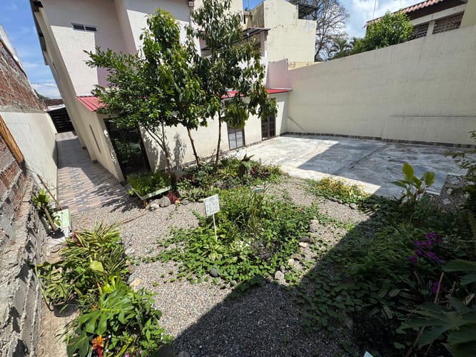 Oficina en arriendo en Centro, Ibagué, 300 m² · foto 11 de 11