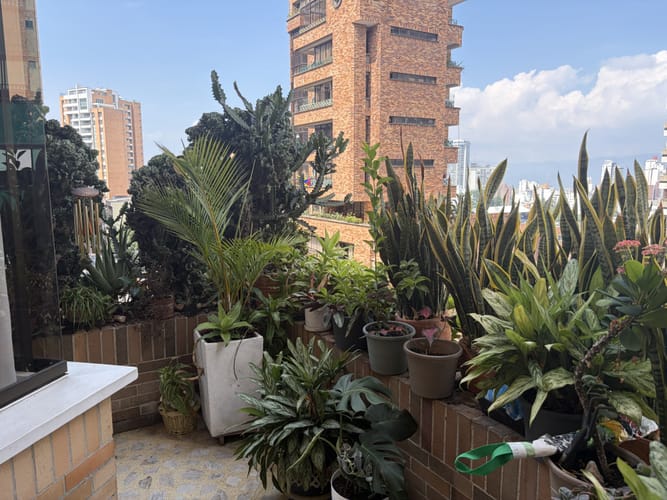 Apartamento de 3 alcobas en venta en Cabecera Del Llano, Bucaramanga, 122 m² · foto 11 de 24