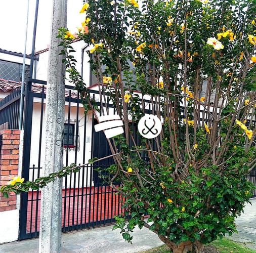 Casa de 4 alcobas en venta en Niza, Bogotá, 219 m² · foto 2 de 24