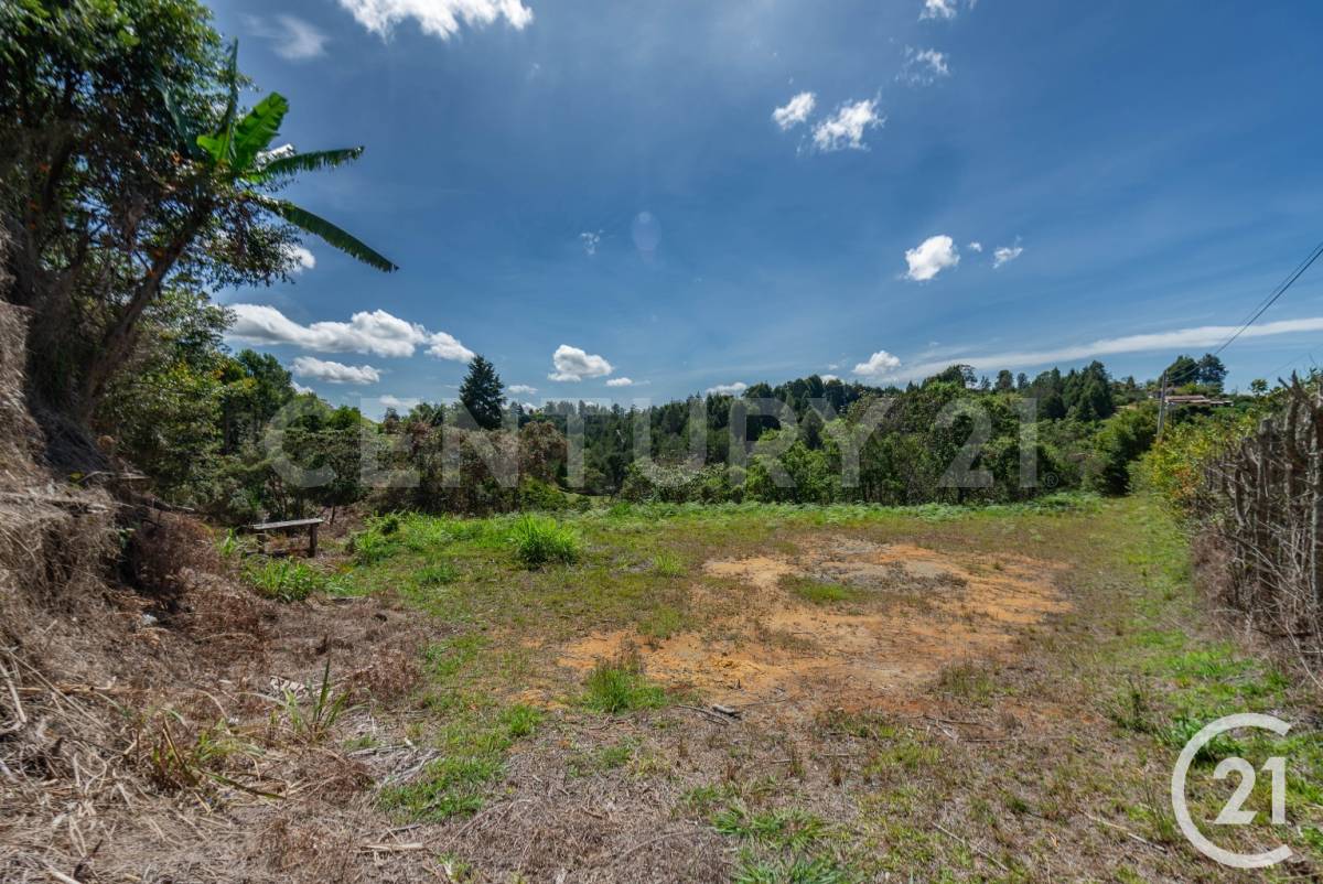 Land in El porvenir for Sale - 2