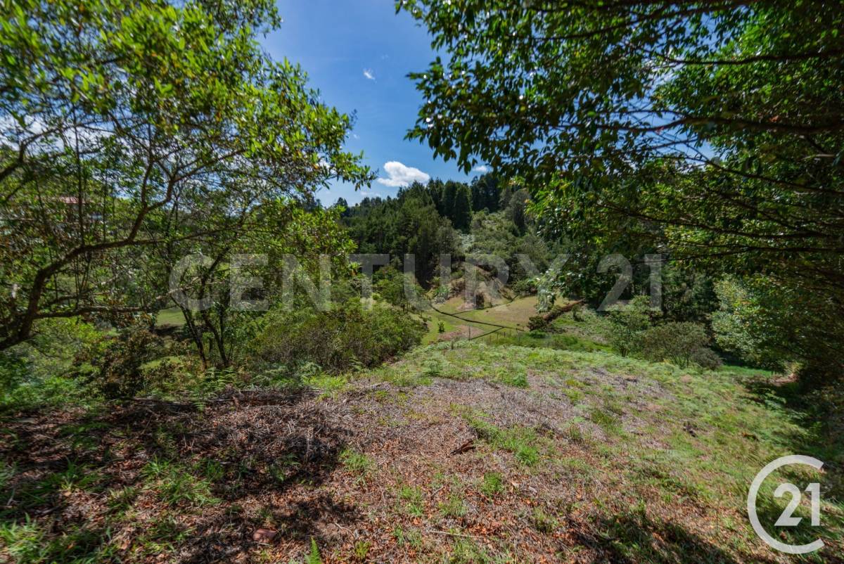 Land in El porvenir for Sale - 3