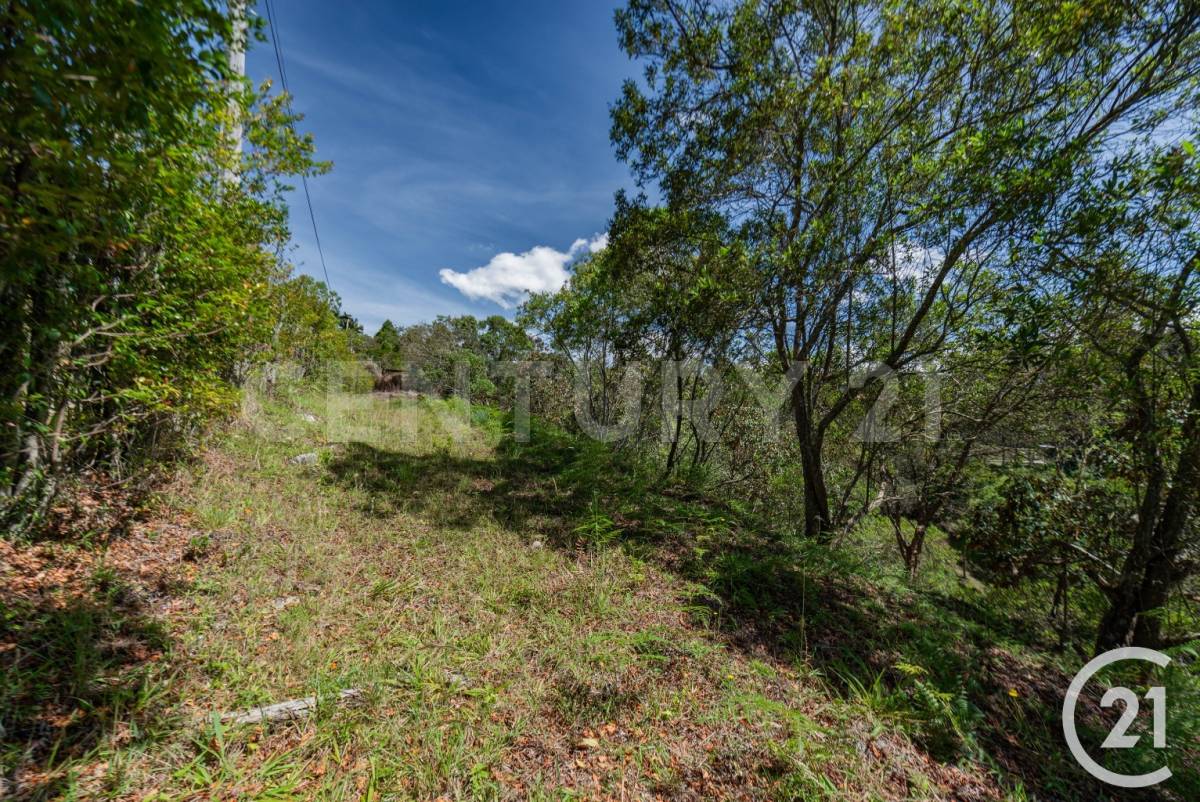 Land in El porvenir for Sale - 4