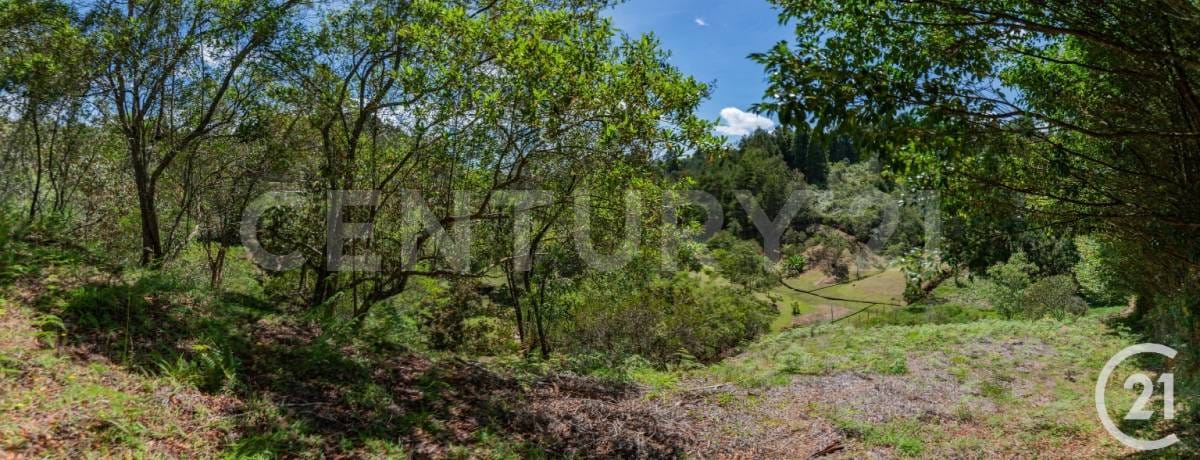 Lote en venta en El Porvenir, Rionegro, 8312 m² · foto 5 de 18