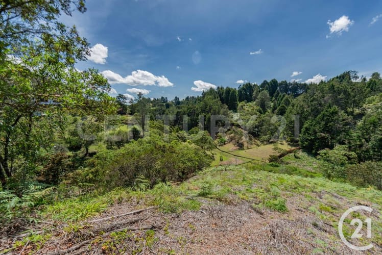 Lote en venta en El Porvenir, Rionegro, 8312 m² · foto 6 de 18