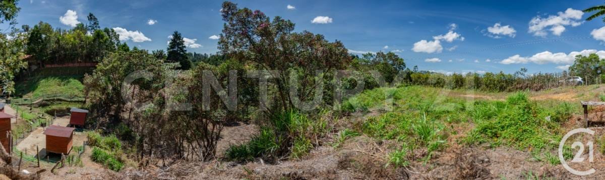 Lote en venta en El Porvenir, Rionegro, 8312 m² · foto 7 de 18