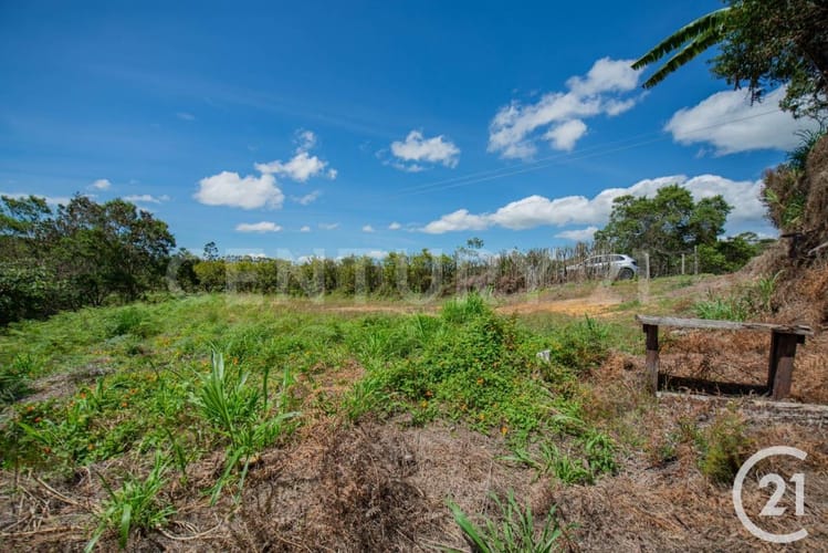 Lote en venta en El Porvenir, Rionegro, 8312 m² · foto 8 de 18