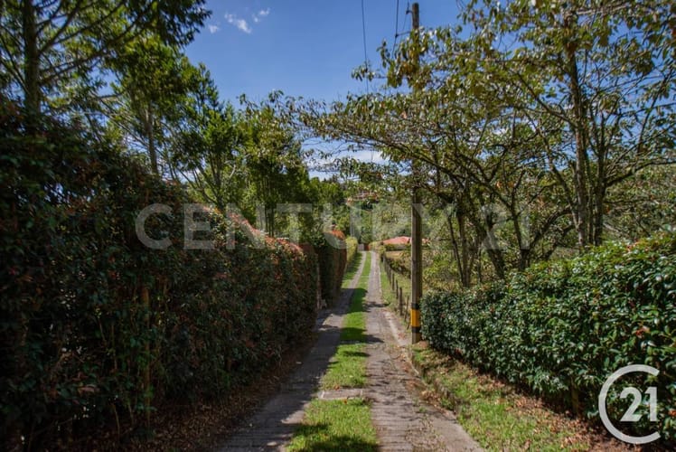 Lote en venta en El Porvenir, Rionegro, 8312 m² · foto 9 de 18