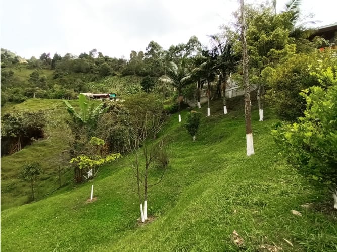 Finca en venta en San Miguel, Manizales, 350 m² · foto 2 de 24