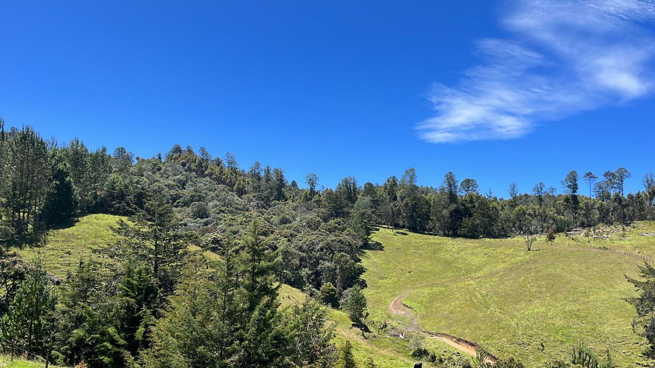 Land in El portento for Sale