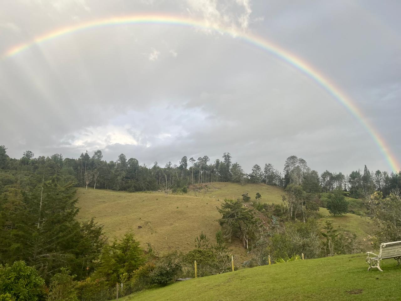Land in El portento for Sale - 3