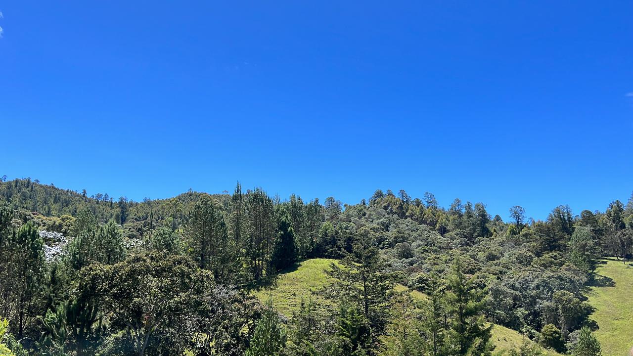 Land in El portento for Sale - 4
