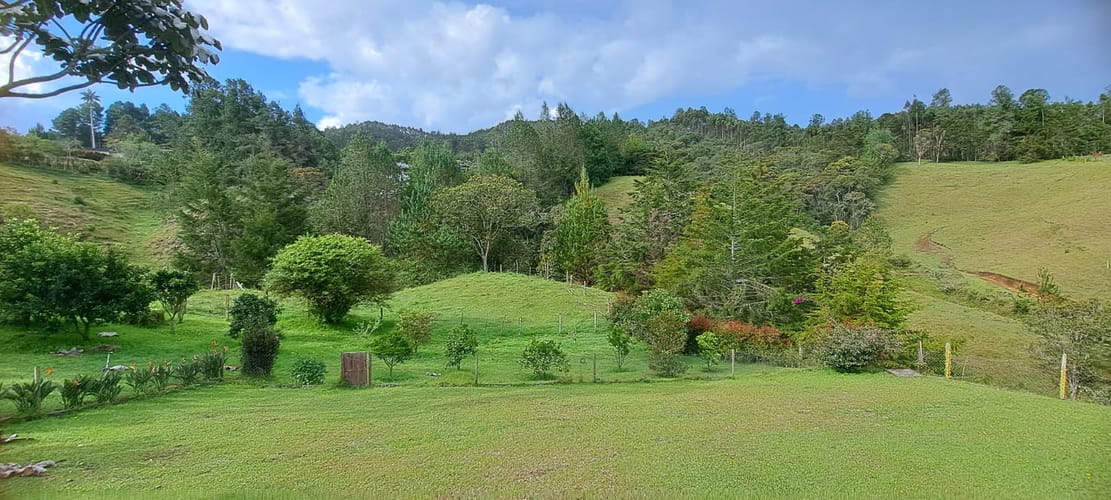 Lote en venta en El Portento, El Retiro, 55000 m² · foto 6 de 6