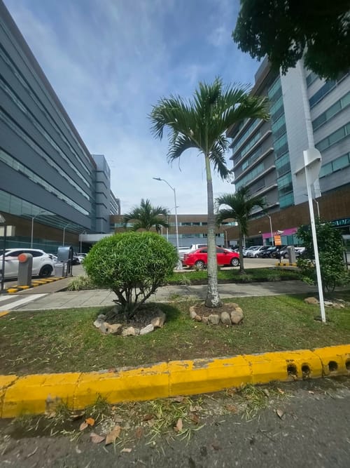 Lote en venta en Zona Industrial, Ibagué, 10000 m² · foto 13 de 21