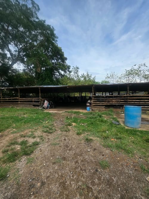 Lote en venta en Zona Industrial, Ibagué, 10000 m² · foto 14 de 21