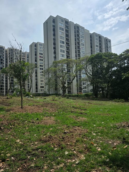 Lote en venta en Zona Industrial, Ibagué, 10000 m² · foto 4 de 21