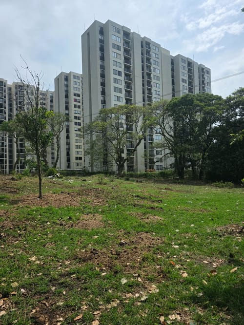 Lote en venta en Zona Industrial, Ibagué, 10000 m² · foto 3 de 21