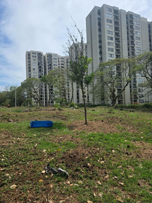 Lote en venta en Zona Industrial, Ibagué, 10000 m² · foto 5 de 21