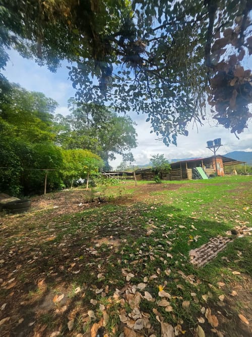 Lote en venta en Zona Industrial, Ibagué, 10000 m² · foto 15 de 21