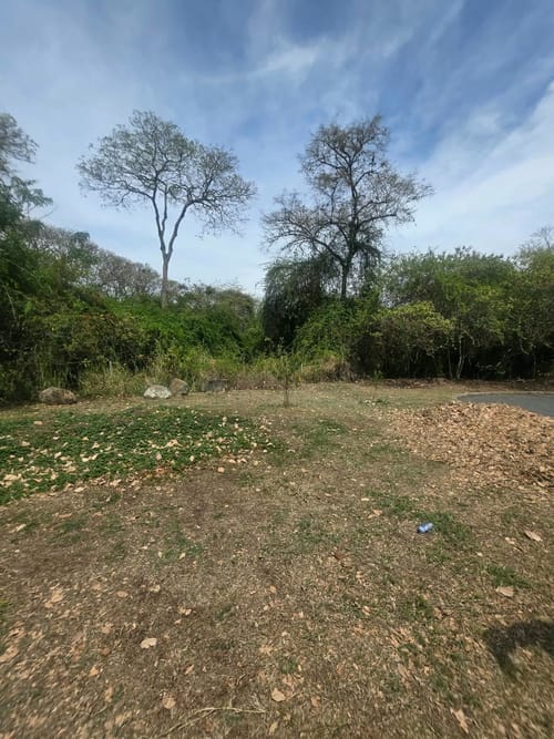 Lote en venta en Zona Industrial, Ibagué, 10000 m² · foto 19 de 21