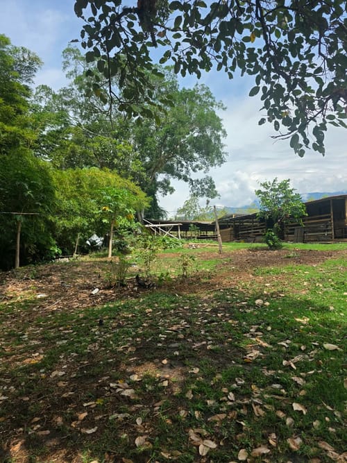 Lote en venta en Zona Industrial, Ibagué, 10000 m² · foto 18 de 21