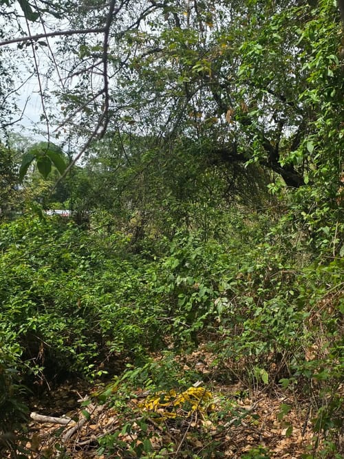 Lote en venta en Zona Industrial, Ibagué, 10000 m² · foto 2 de 21