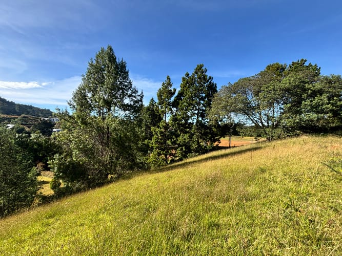Lote en venta en Pantanillo, Envigado, 8660 m² · foto 6 de 10