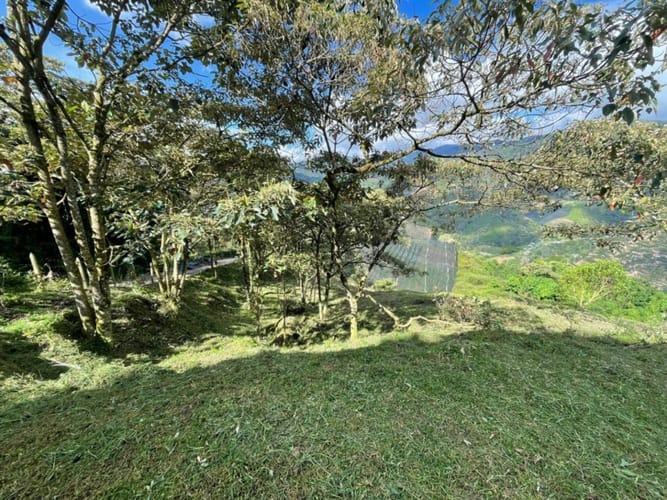 Lote en venta en Pantalio, El Retiro, 15400 m² · foto 2 de 16