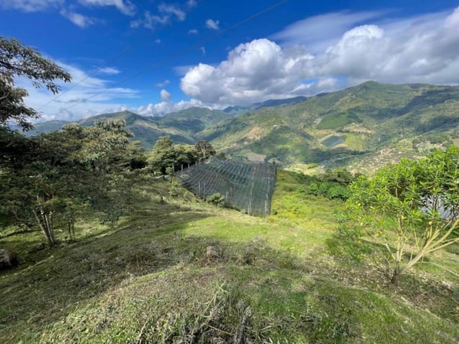 Lote en venta en Pantalio, El Retiro, 15400 m² · foto 3 de 16