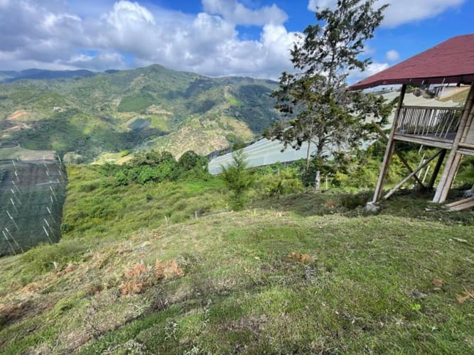 Lote en venta en Pantalio, El Retiro, 15400 m² · foto 4 de 16