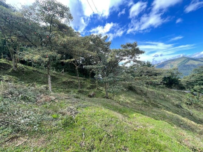 Lote en venta en Pantalio, El Retiro, 15400 m² · foto 5 de 16