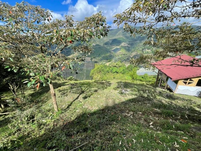 Lote en venta en Pantalio, El Retiro, 15400 m² · foto 8 de 16