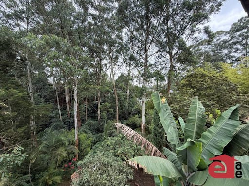 Finca en arriendo en Zuñiga, Medellín, 280 m² · foto 23 de 24